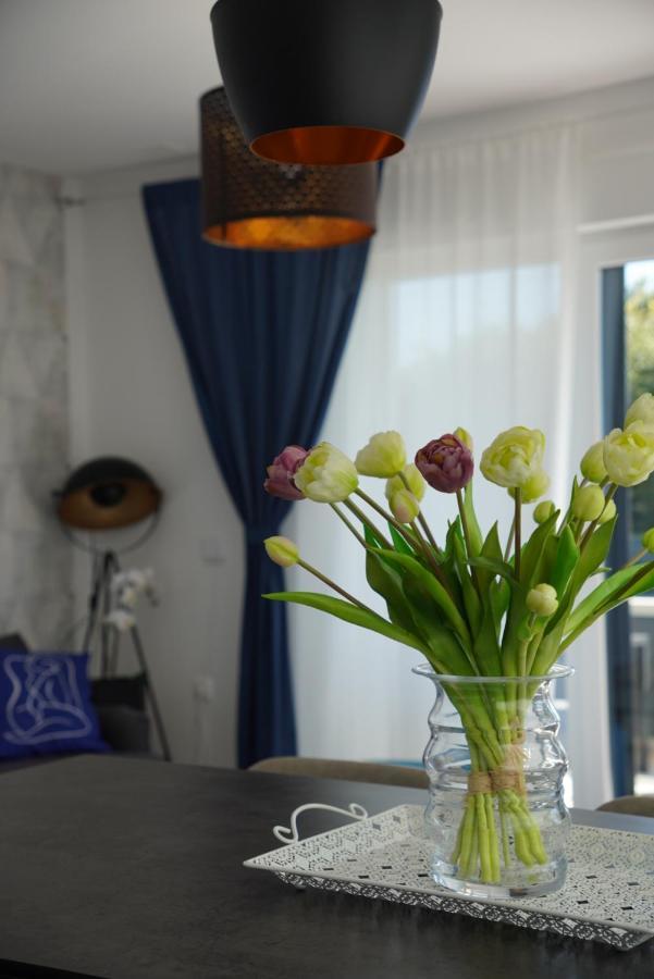 Apartament Blue Shell